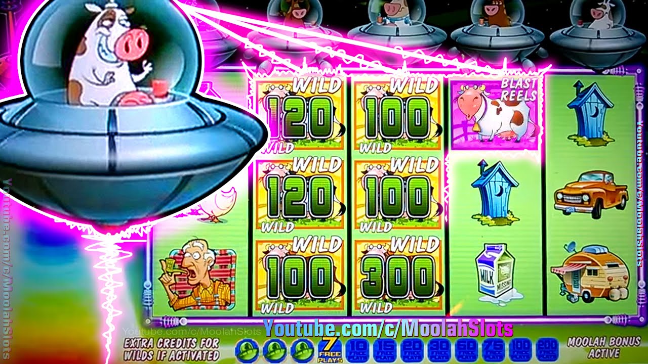 Herr BET Casino 100 Bonus -Spins