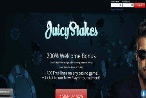 stallion fortunes mobile casino