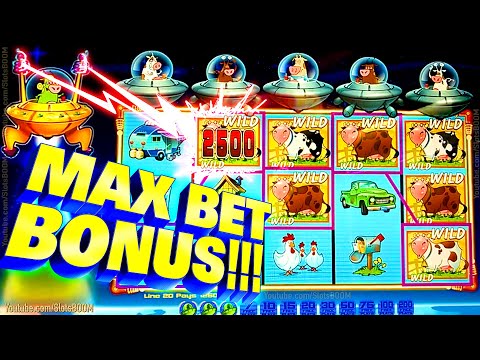 online deuces wild double up bonus