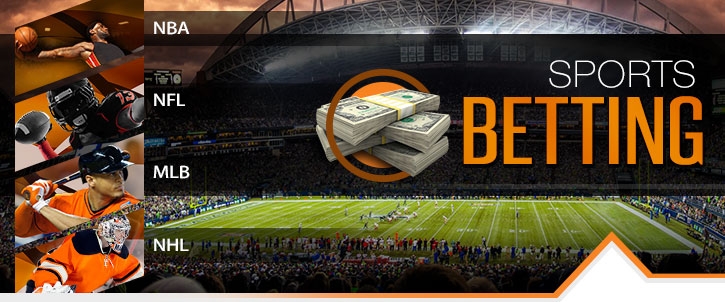 bookie sports betting game